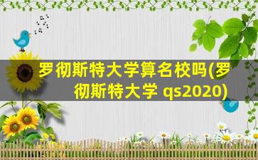 罗彻斯特大学算名校吗(罗彻斯特大学 qs2020)